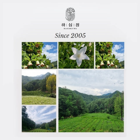 HASIMJUNG Gingseng Powder 200g / 횡성더덕가루 분말 200g