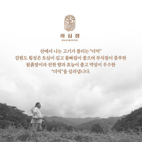 HASIMJUNG Dried Gingseng Tea / 하심정 더덕티백차 선물세트