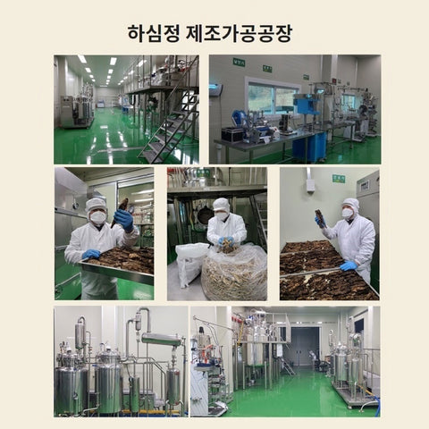 HASIMJUNG Dried Gingseng Root / 횡성 건조더덕 200g