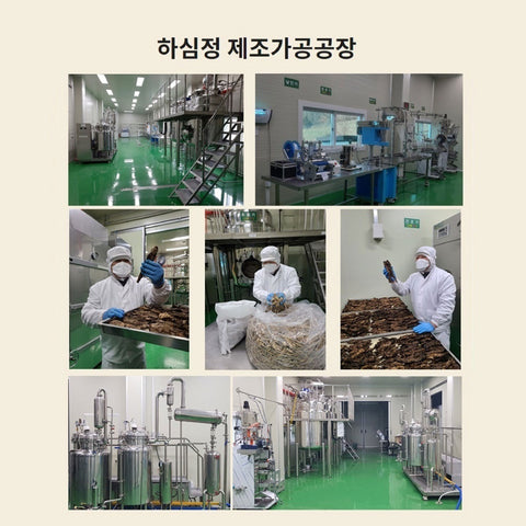 HASIMJUNG Gingseng Herbal Tea  /  하심정 횡성더덕차