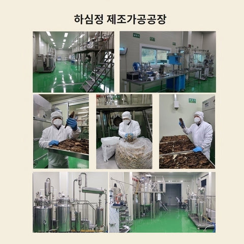 HASIMJUNG Gingseng Powder 200g / 횡성더덕가루 분말 200g