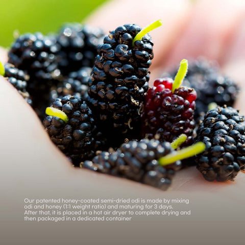 Mulberry Extract (오디청)