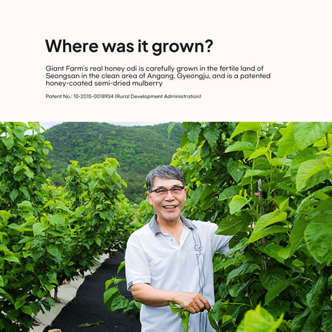 Mulberry Extract (오디청)