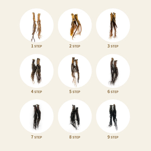 Korean Black Ginseng extract (240g)