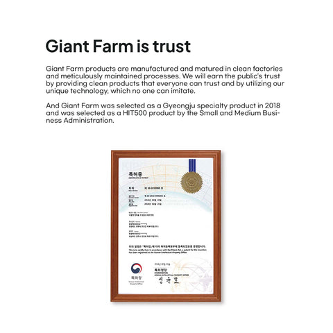 Mulberry Extract (오디청)