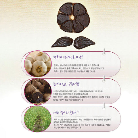 HEALTHY TREE Organic Black Garlic Extract 80mlx30Packs / 의성 유기농 흑마늘진액 80ml x 30포