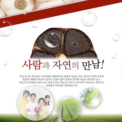 HEALTHY TREE Organic Black Garlic Extract 80mlx30Packs / 의성 유기농 흑마늘진액 80ml x 30포