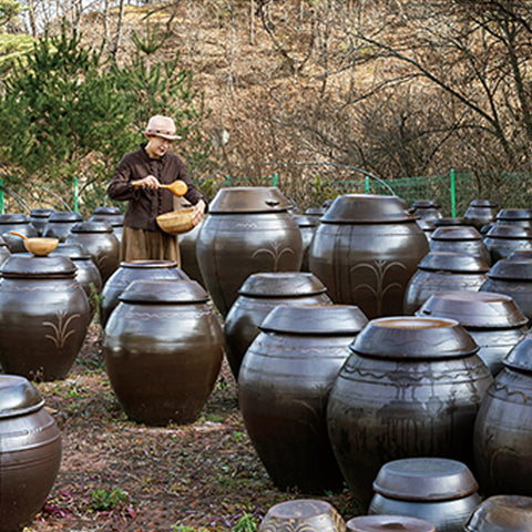 SJS Korean Ginger Vinegar High Quality 250ml / 질좋은 안동 생강으로 만든 생강식초 250ml