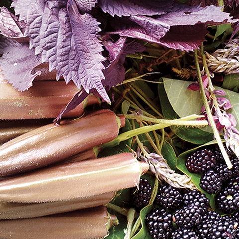 SJS Korean Wild Herb Vinegar 250ml / 강인한 생명력을 지닌 산야초식초 250ml