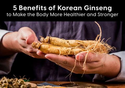 Benefits of Korean Ginseng