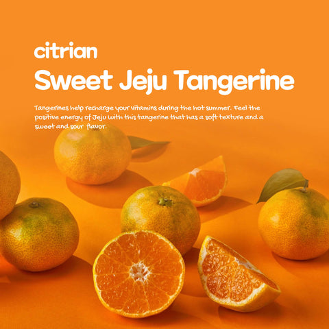 Jeju fresh tangerine (Direct from Jeju farm) Free delivery (2.5 kg = 20~22 pcs) / 제철 싱싱 제주 감귤 (7일간 판매)