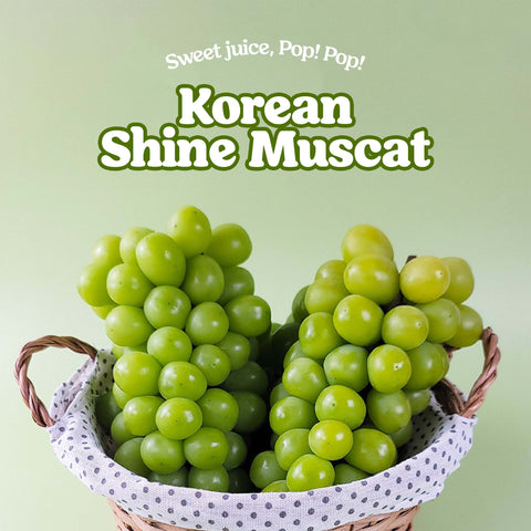 Shine Muscat Premium Grapes (2kg) / 한국 직송 샤인머스켓 2박스(2-3송이) 2kg