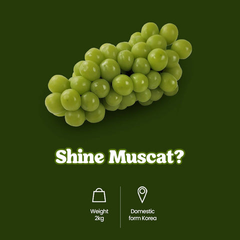 Shine Muscat Premium Grapes (2kg) / 한국 직송 샤인머스켓 2박스(2-3송이) 2kg