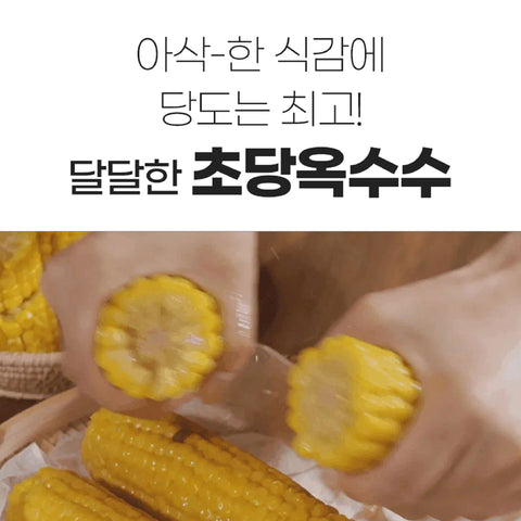 BUNDLE 2QTY - CLASSIC Corn 80ea / 국내산 無첨가물 진공 찰옥수수 초당옥수수 HACCP GAP