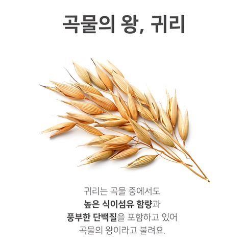 YAKGOK Oat Protein Shake 50g 5packs / 단백질 선식 쉐이크 한끼 대용식 약곡귀리 50g 5개입 [원산지:국산]