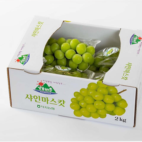 FRUITS BUNDLE - 1 Box of Shine Muscat + 1 Box of Jeju Tangerine / 한국 직송 샤인머스켓 2박스(2-3송이) 2kg / 제철 싱싱 제주 감귤 (7일간 판매)