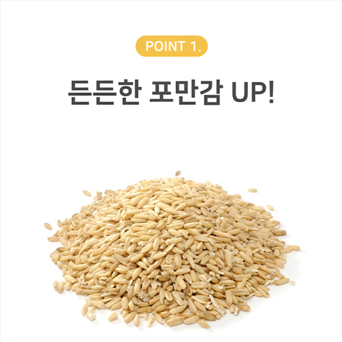 YAKGOK Oat Protein Shake 50g 5packs / 단백질 선식 쉐이크 한끼 대용식 약곡귀리 50g 5개입 [원산지:국산]