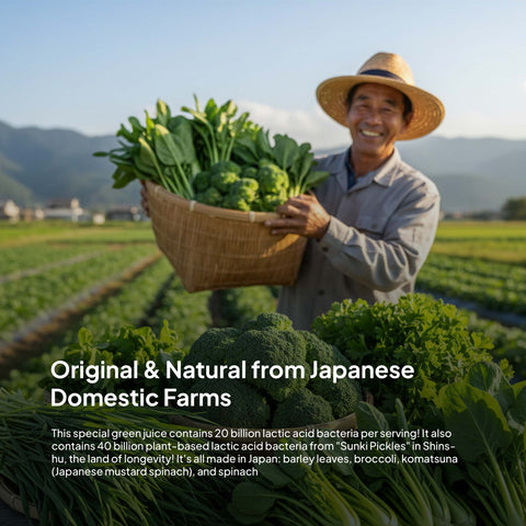 VegePresso Aojiru Japanese 20 Billion Probiotic Green Juice (3g x 20pcs) / 日本産青汁乳酸菌（箱入)