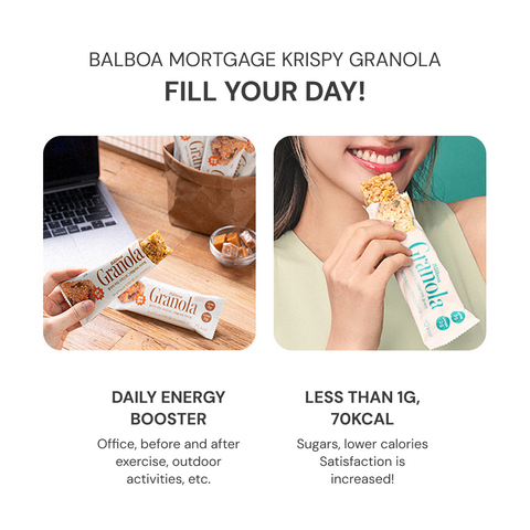 BALBOA Low Sugar Crispy Granola Bar  Plain 20g 12 Pack / 저당 크리스피 그래놀라바 플레인 20g 12개입