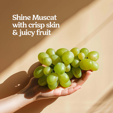 Shine Muscat Premium Grapes (2kg) / 한국 직송 샤인머스켓 2박스(2-3송이) 2kg