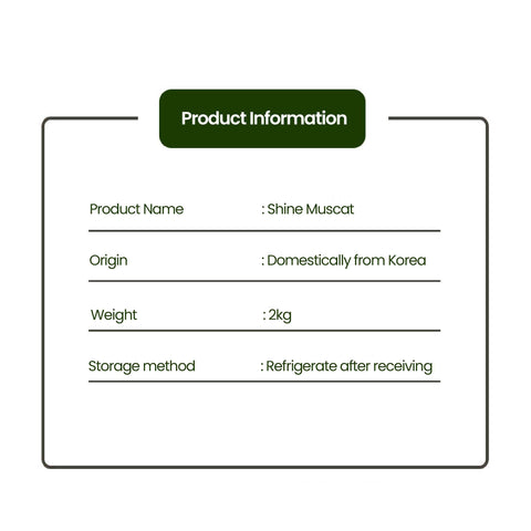 Shine Muscat Premium Grapes (2kg) / 한국 직송 샤인머스켓 2박스(2-3송이) 2kg