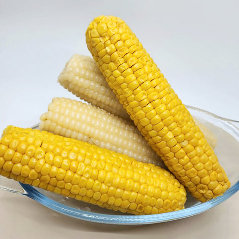 BUNDLE 2QTY - CLASSIC Corn 80ea / 국내산 無첨가물 진공 찰옥수수 초당옥수수 HACCP GAP