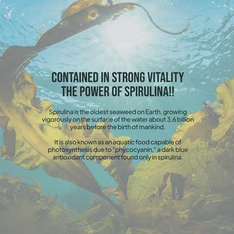 Premium Spirulina Gruel – Natural Spirulina Seaweed Food, 40g x 5pcs / 스피루리나 해조선식