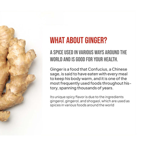 Ginger Jujube Tea – Warming Herbal Tea for Daily Wellness (80ml x 10 Packs) / 생강대추