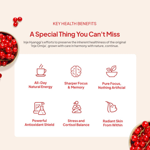 [JOYK] Premium Korean Omija Juice (10 Packs) 1 Box | 100% Organic Schisandra Berry Drink