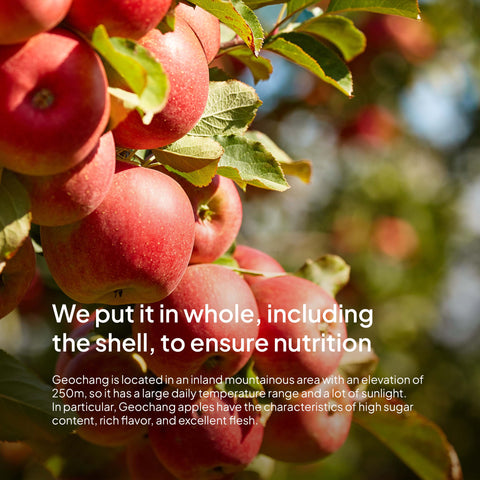 HARU Apple Juice Boxes – 100% Fruit Juice, 100ml × 30 ea / 하루건강 사과 즙