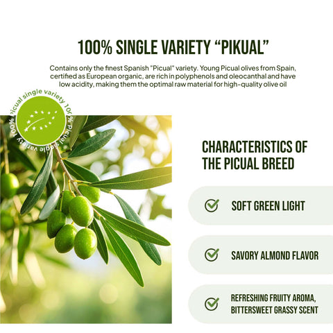 Premium Extra Virgin Olive Oil Sticks – 100% Pure Olive Oil, 1 Box (14 Packets) / 유기농올리브오일