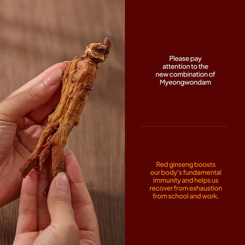 Inner Beauty Korean Red Ginseng Pomegranate Collagen Jelly Sticks (20g x 14) / 명원담 이너뷰티 홍삼 석류 콜라겐 젤리스틱 14포 히알루론산 엘라스틴
