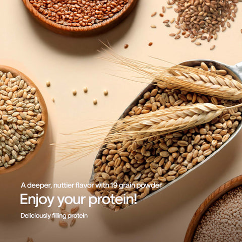 [9pcs / 18pcs] Nucare All Protein 41g Savory Grain (350ml)