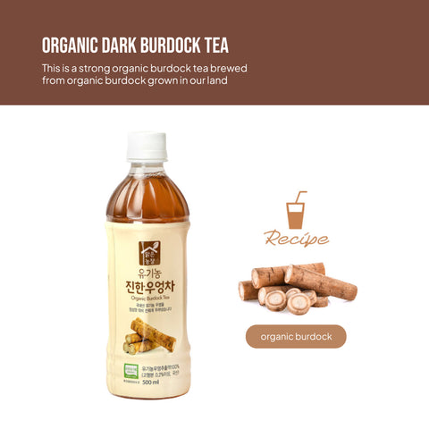 Korean Organic Burdock Tea Drink 500ml x 20 – Natural Caffeine-Free Root Tea