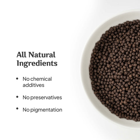 Sanchon Village Rat-Eye Bean Cheonggukjang Pills 250g / 산촌마을 청국장환 250g