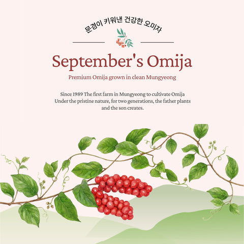 Mungyeong September Omija Juice No Sugar with Allulose 110ml x 20 – Korean Five Flavor Berry Drink, Healthy Low-Calorie Beverage