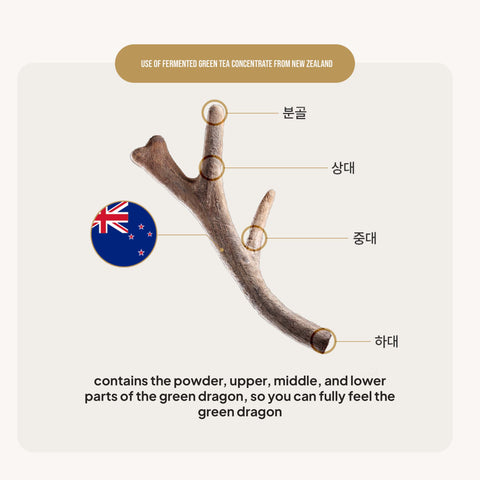 Premium Fermented Deer Antlers Korean Red Ginseng Extract – Health Tonic 70ml x 90 Packs