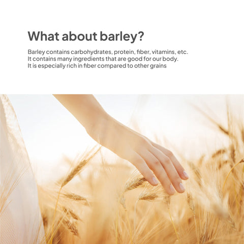 Korean Organic Barley Tea Drink 500ml x 20 Packs – Roasted Boricha Healthy Beverage