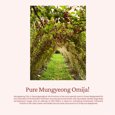 Mungyeong September Omija Juice No Sugar with Allulose 110ml x 20 – Korean Five Flavor Berry Drink, Healthy Low-Calorie Beverage