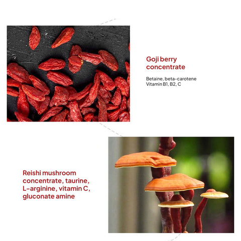 Elephant Black Garlic Extract Drink – Aged Black Garlic Health Supplement / 코끼리 흑마늘 진액 흑마늘즙 엑기스