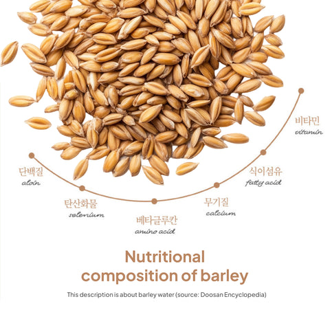 Korean Organic Barley Tea Drink 500ml x 20 Packs – Roasted Boricha Healthy Beverage