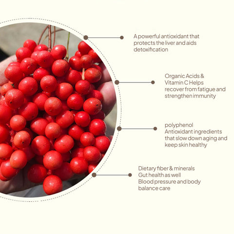 INJE Omija Ade Juice 100ml x 10 – Extra Bold Korean Five Flavor Berry Drink, Refreshing Healthy Beverage