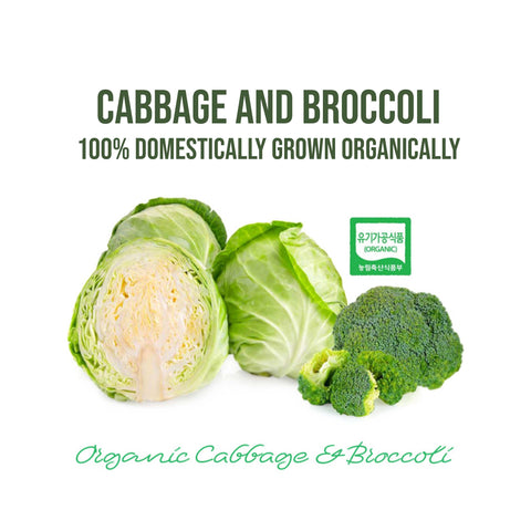 Korean Organic Cabbage & Broccoli Juice – Natural Detox & Digestive Support Drink (80ml x 30pcs)