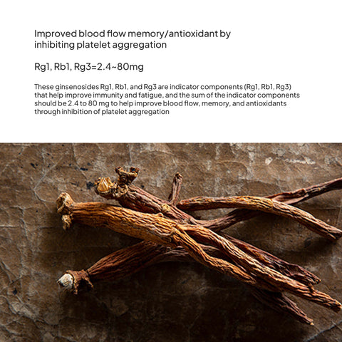 Premium Korean Red Ginseng Powder 60g | Single Pack Panax Ginseng Herbal Supplement / 명원담 프리미엄 홍삼분말