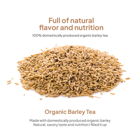 Korean Organic Barley Tea Drink 500ml x 20 Packs – Roasted Boricha Healthy Beverage