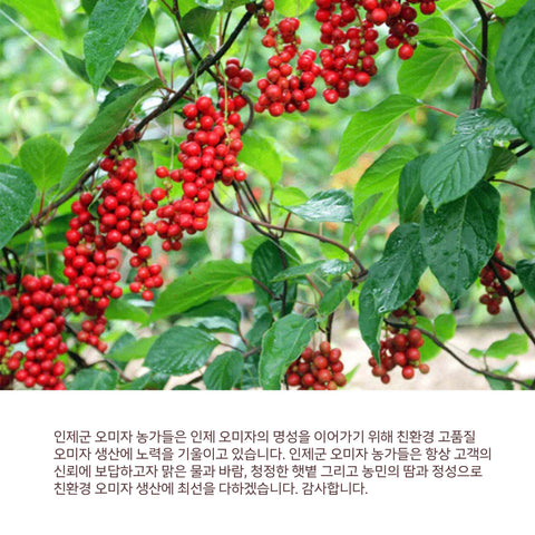 INJE Premium Fresh Omija Extract 500ml