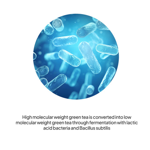 Premium Fermented Deer Antlers Korean Red Ginseng Extract – Health Tonic 70ml x 90 Packs