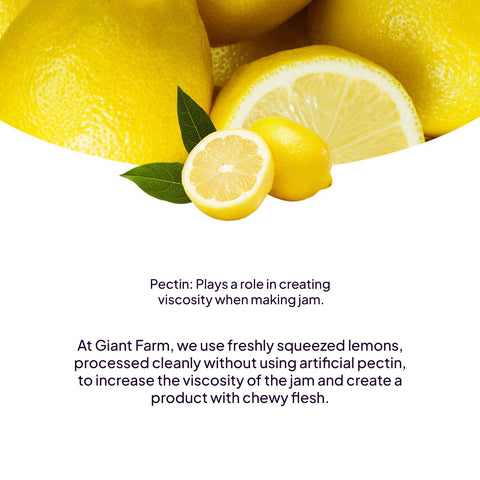 Mulberry Jam (오디잼)