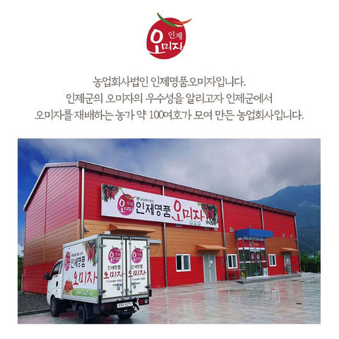 INJE Premium Fresh Omija Extract 500ml