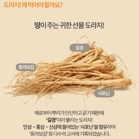 HEALTHY TREE Premium Organic Balloon Flower Extract Ready To Drink 15gx30Sticks / 유기농 도라지진액